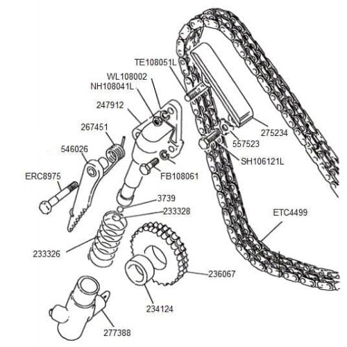Timing Chain