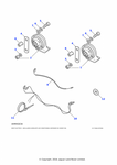 Low Note Shell Horn